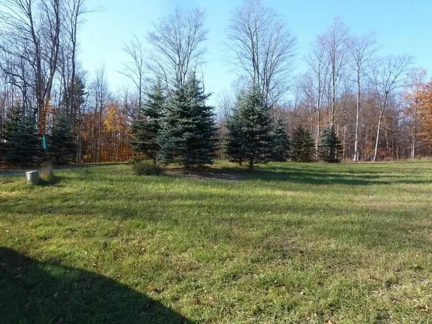 ***** Horseshoe TRL, Petoskey, MI 49770 - #3