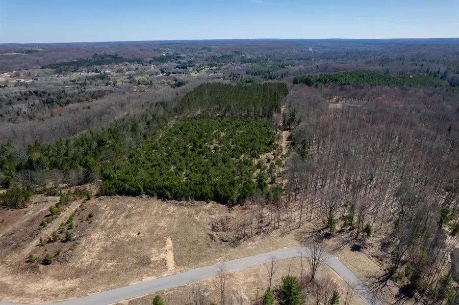 Hoosier Valley RD, Blair, MI 49685 - #2
