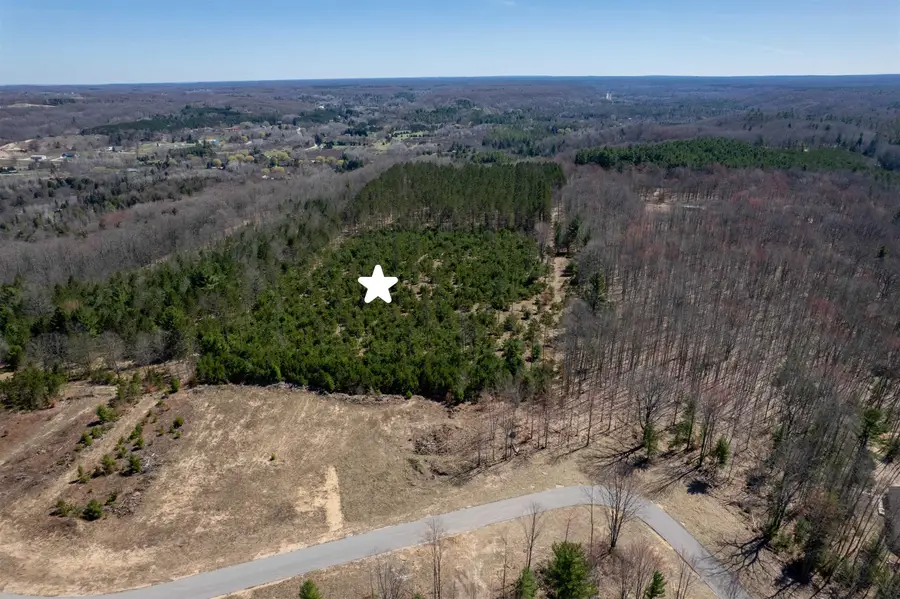 Hoosier Valley RD, Blair, MI 49685 - #2