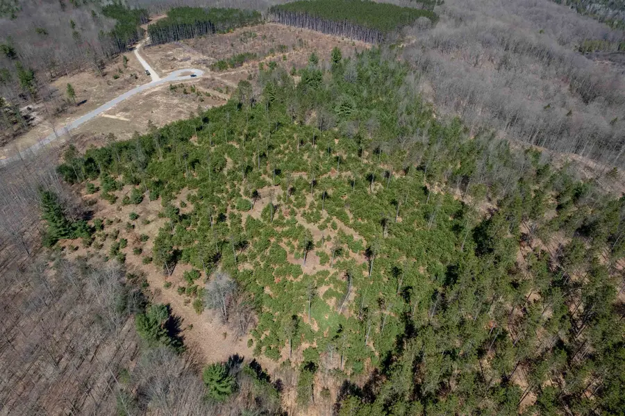Hoosier Valley RD, Blair, MI 49685 - #3
