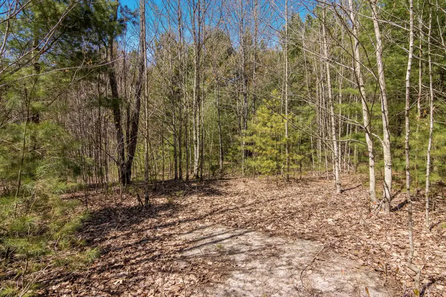 02 Woodland, Traverse City, MI 49684 - #3