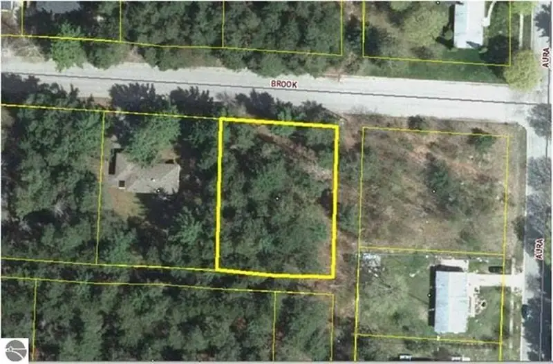 00 Brook AVE, Kaleva, MI 49645 - #2