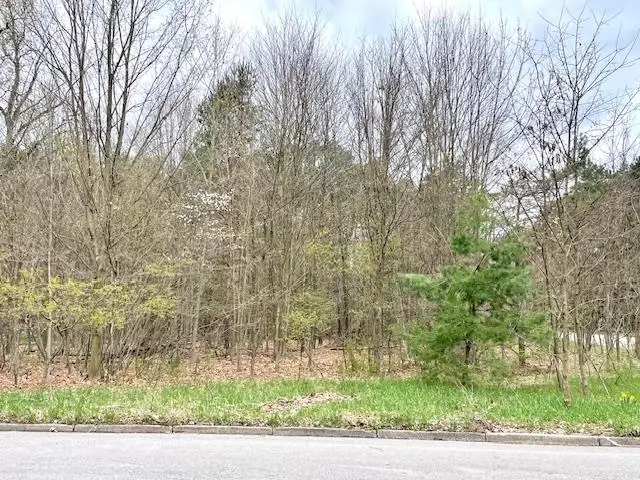 00 Brook AVE, Kaleva, MI 49645 - #3