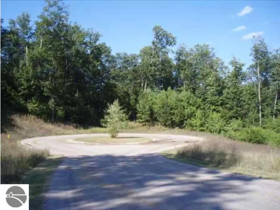 VL #5 Timber Valley CT, Kewadin, MI 49648 - #2