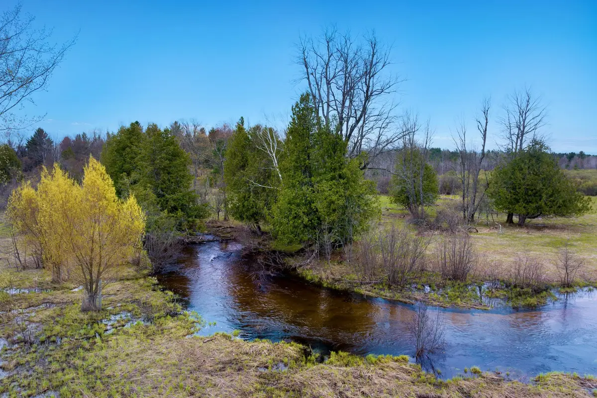 7578 S River Road SW, Kalkaska, MI 49646 - #1