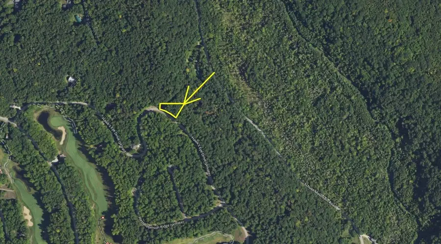 Lot 218 Hawks Eye DR, Bellaire, MI 49615 - #2