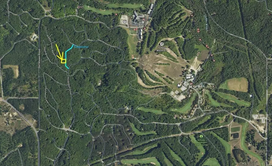 Lot 29 Off Heideldorf DR, Bellaire, MI 49615 - #2