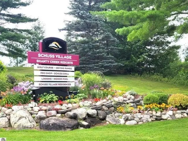 Lot 29 Off Heideldorf DR, Bellaire, MI 49615 - #3