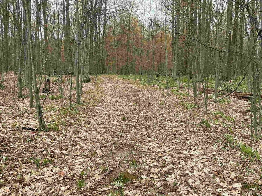 20 Acres Zimmerman RD, Clearwater, MI 49676 - #2