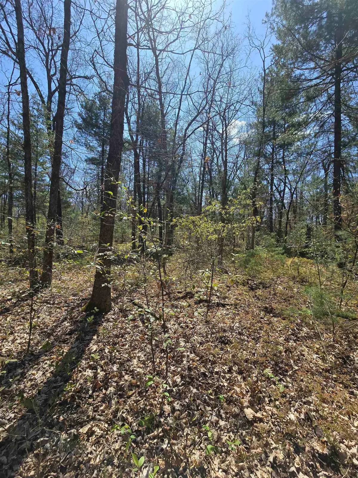TBD S Locust, Wilcox, MI 49349 - #1