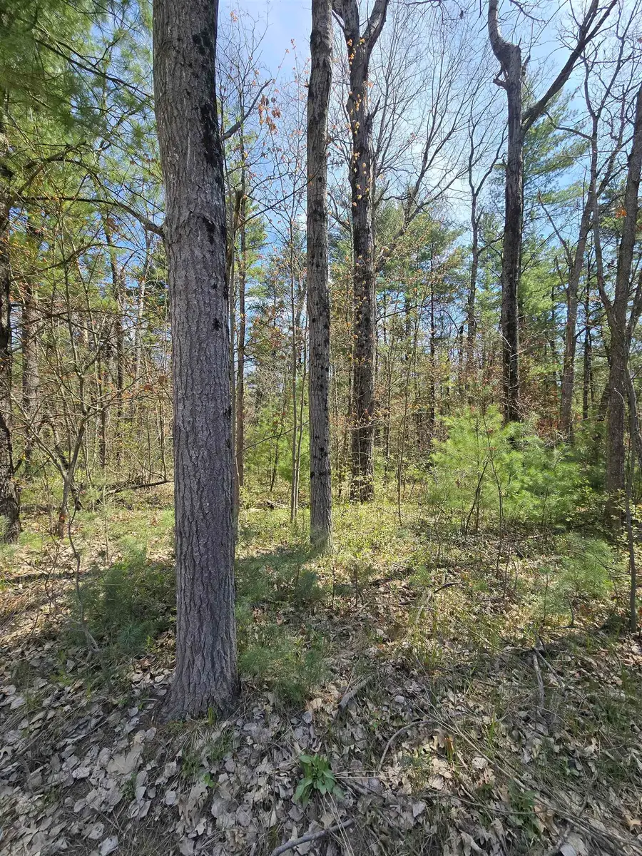 TBD S Locust, Wilcox, MI 49349 - #2