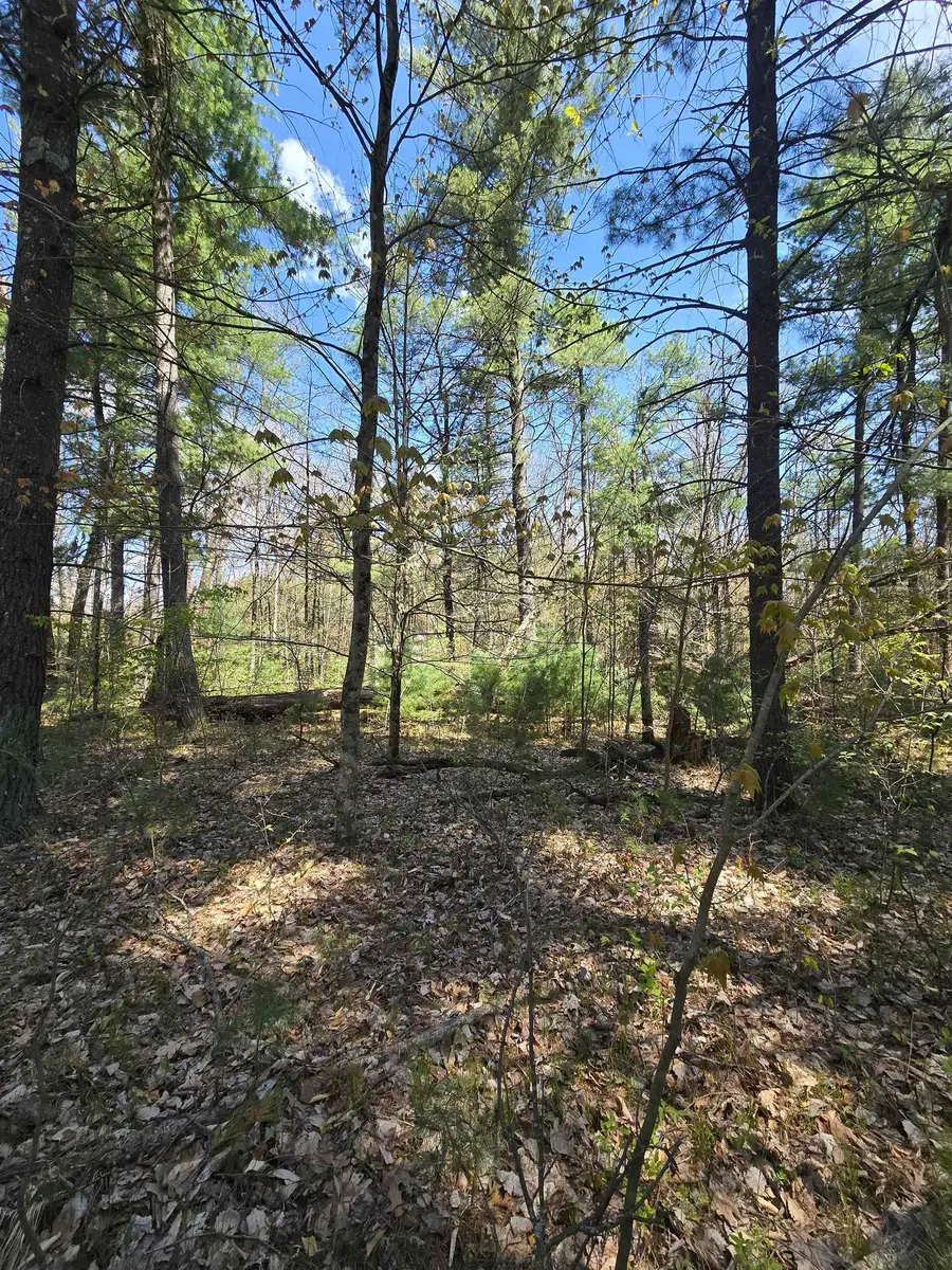 TBD S Locust, Wilcox, MI 49349 - #3