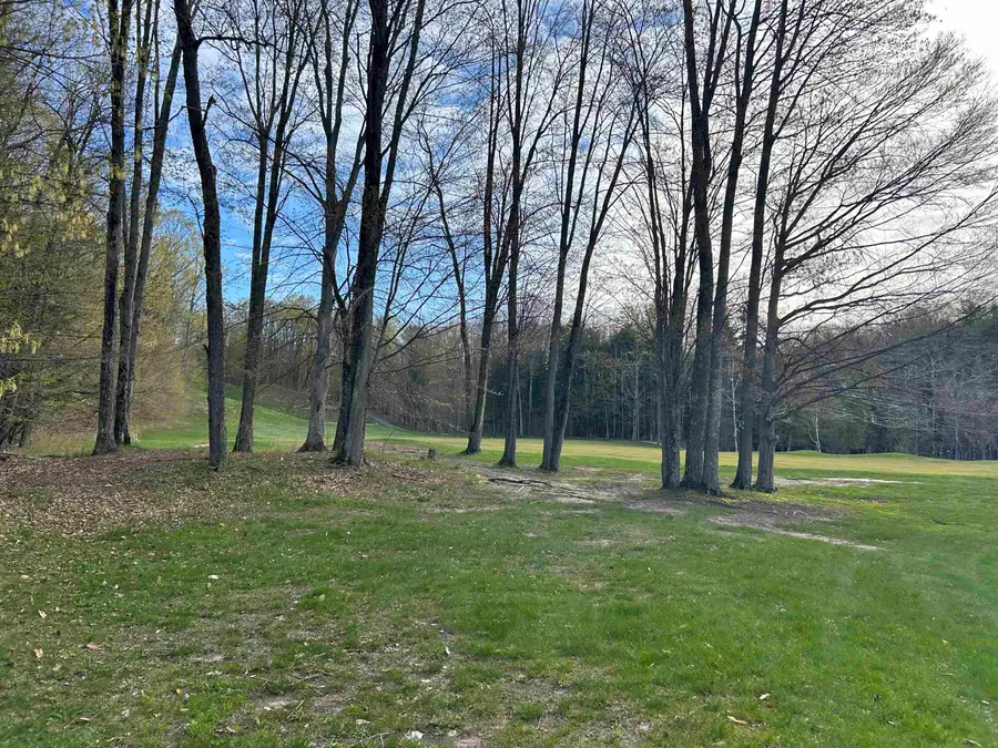 Lot 69 Legend TRL, Bellaire, MI 49615 - #3
