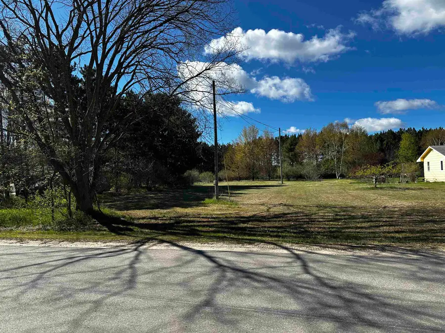 V/L NW Wilhelm, Rapid City, MI 49676 - #2