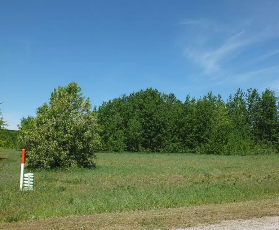 9441 Kingsfield, Kingsley, MI 49649 - #2