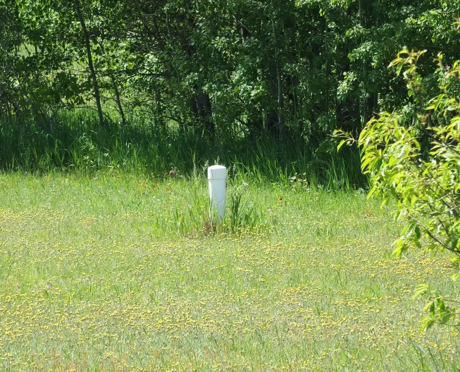 Lot 31 Kingsfield, Kingsley, MI 49649 - #2