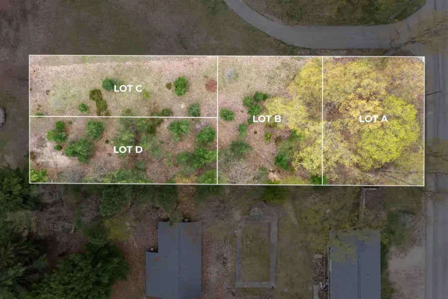 TBD Lot C W Cayuga, Bellaire, MI 49615 - #3