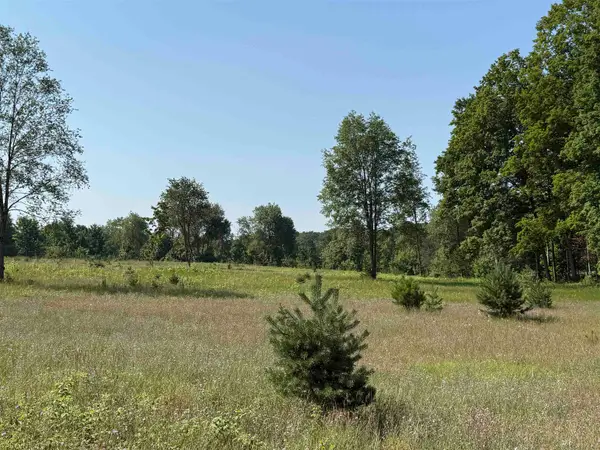 Parcel A 6 S Bright, MapleCity, MI 49664