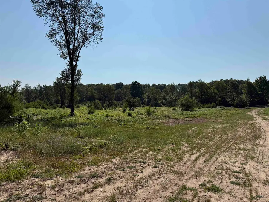 Parcel A 8 S Bright, Kasson, MI 49664 - #2