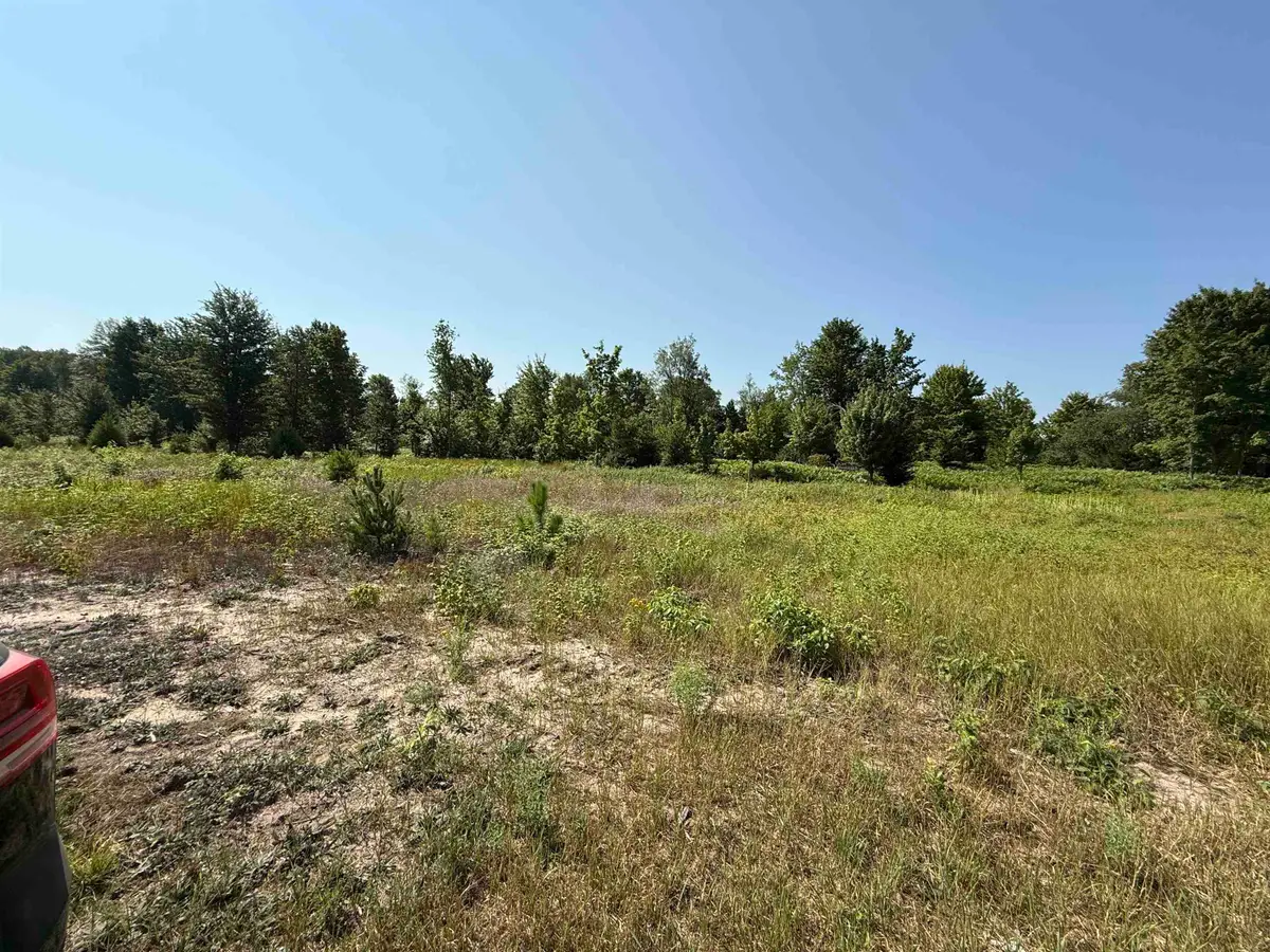 Parcel A 7 S Bright, Kasson, MI 49664 - #1