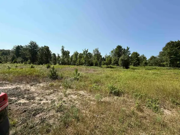 Parcel A 7 S Bright, MapleCity, MI 49664