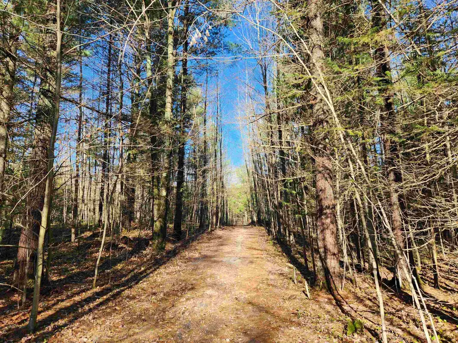 00 Adams, Kalkaska, MI 49646 - #3