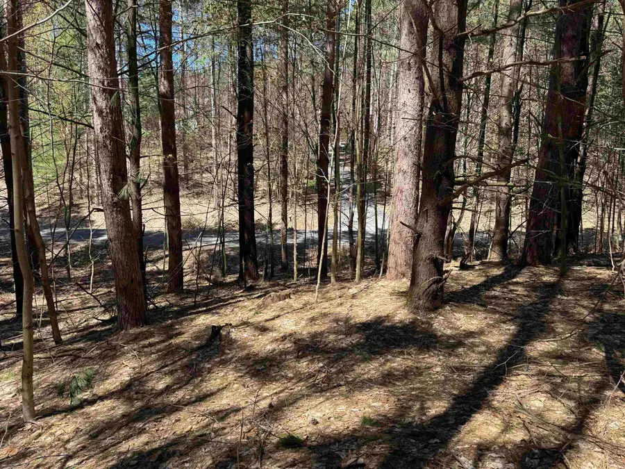 000 W Timber, Empire, MI 49630 - #3