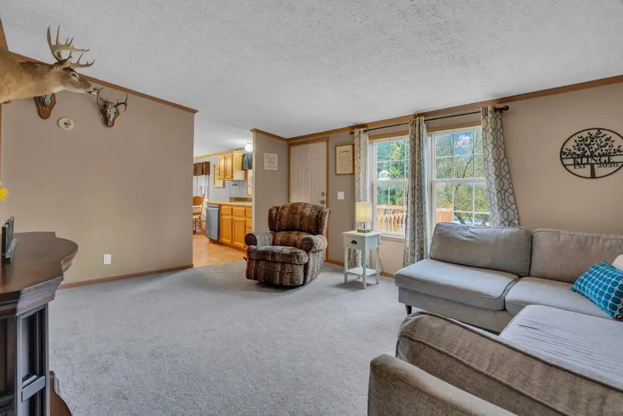 8765 E 10 RD, Manton, MI 49663 - #3