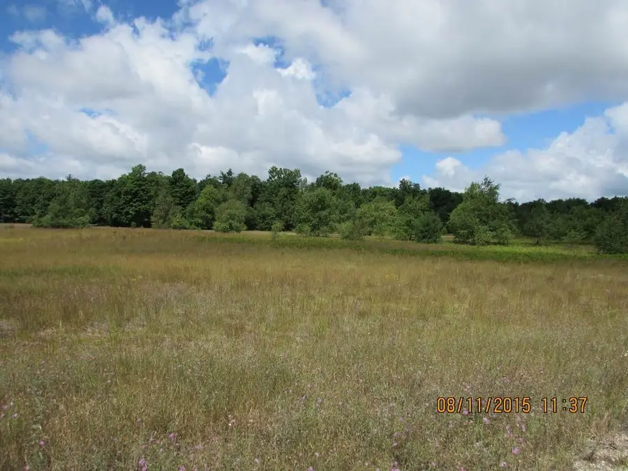 634 Grouse, Kalkaska, MI 49646 - #3