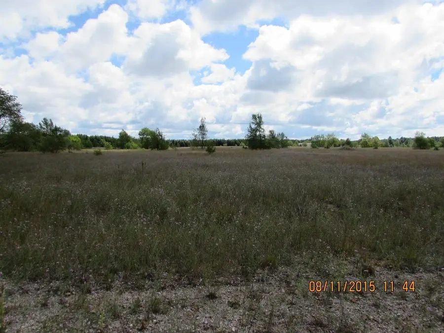 408 Grouse, Kalkaska, MI 49646 - #3