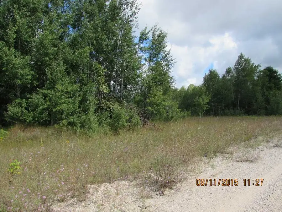 802 Grouse, Kalkaska, MI 49646 - #3
