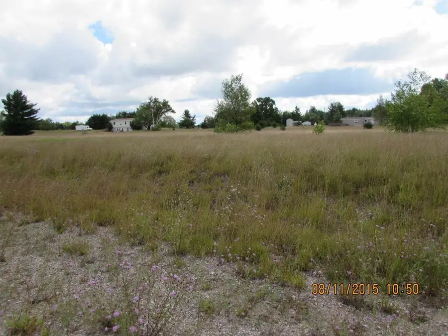 809 Grouse, Kalkaska, MI 49646 - #3
