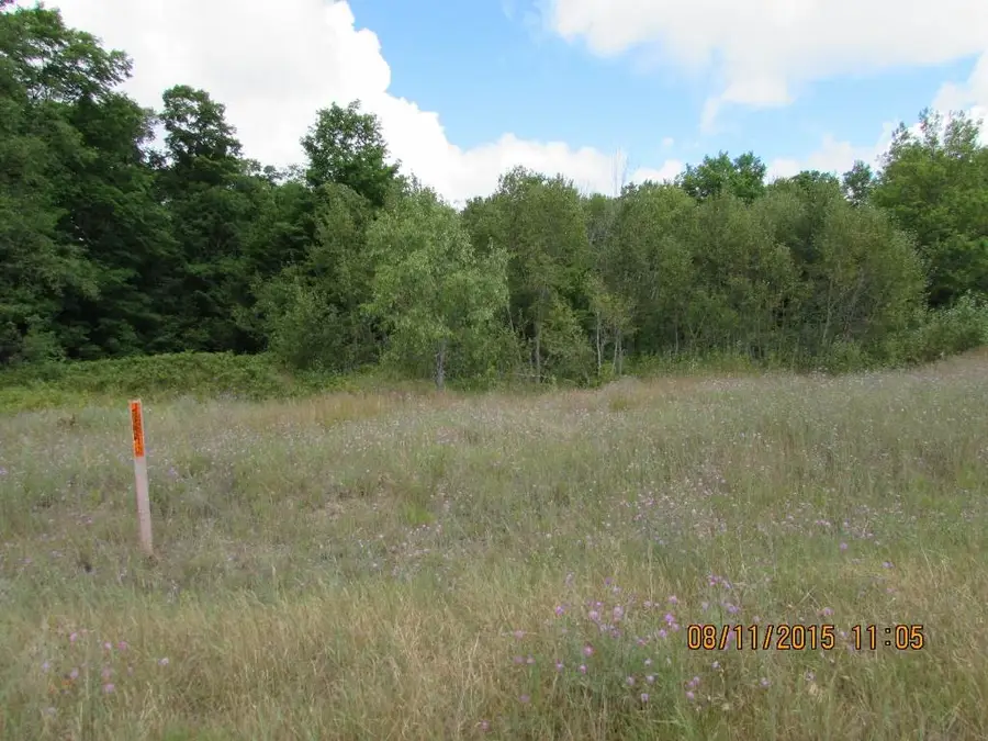Unit 22 Grouse, Kalkaska, MI 49646 - #3