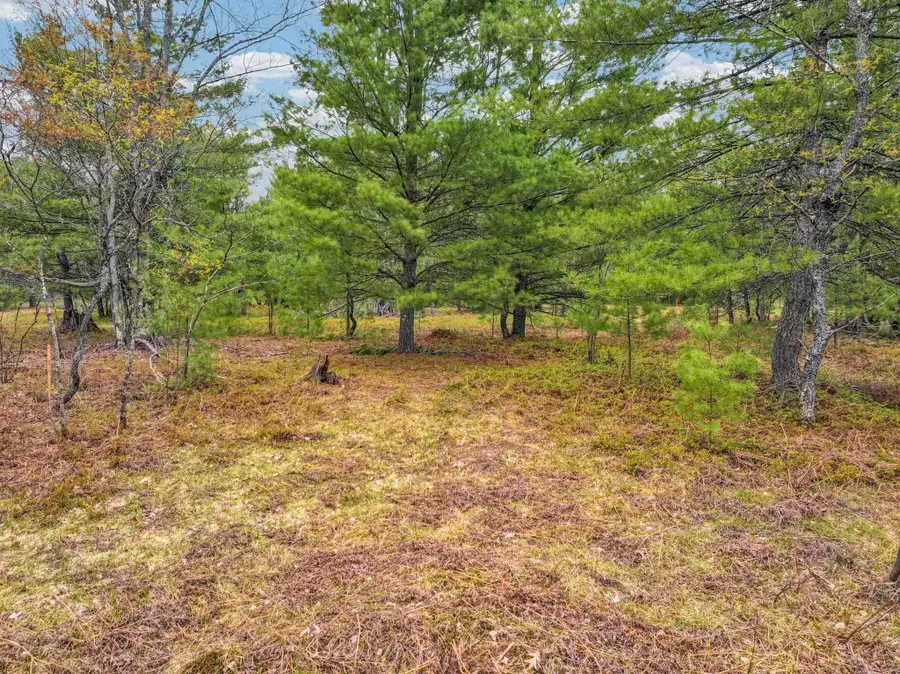 SE Military RD, Garfield, MI 49633 - #2