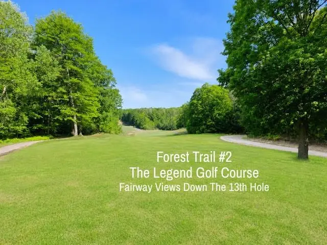 2 Forest, Bellaire, MI 49615 - #1