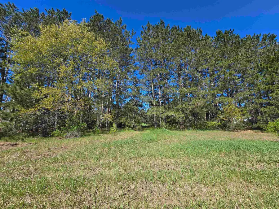 00 N 3, Mesick, MI 49668 - #2