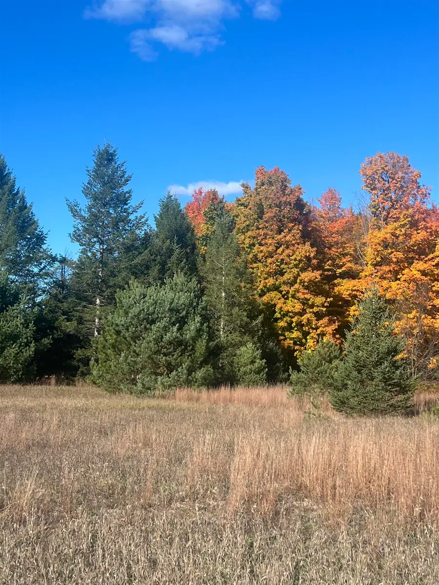 247 Blue Heron DR, Kalkaska, MI 49646 - #3