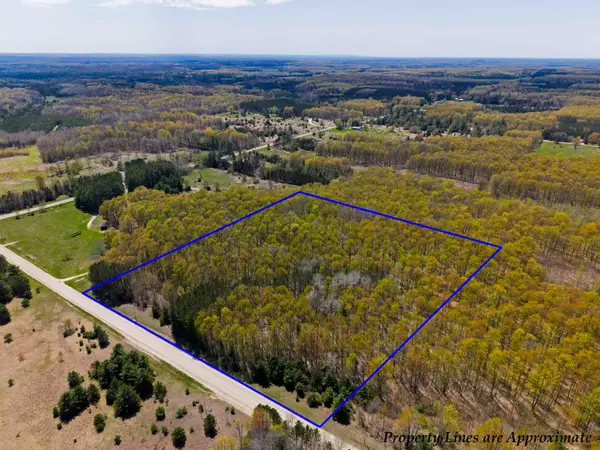 0000 SE Campbell, FifeLake, MI 49633