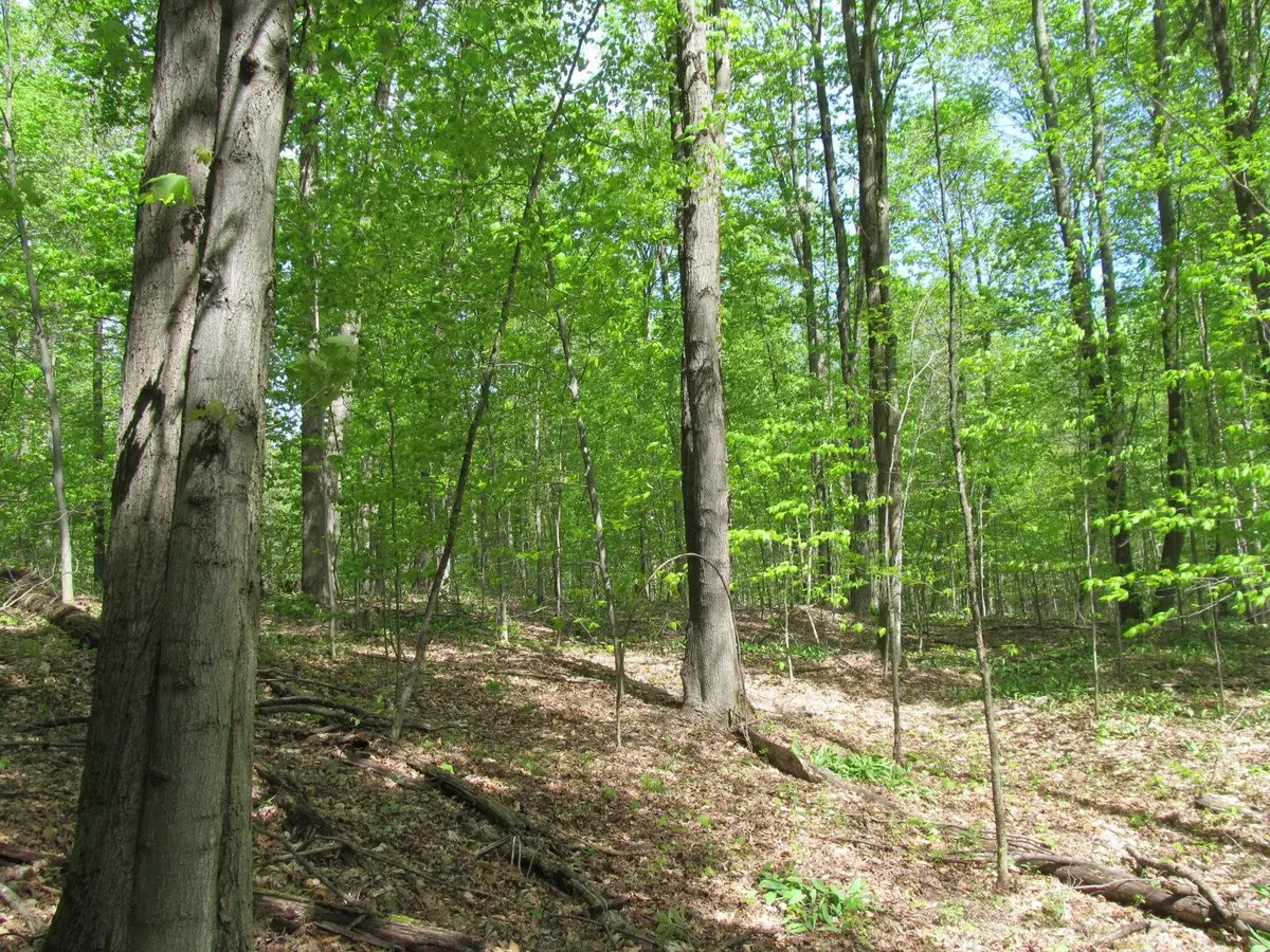 0 M-115, Tustin, MI 49688 - #1