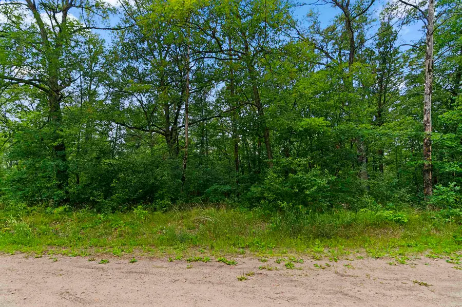 V/L W Pontiac, Baldwin, MI 49304 - #2