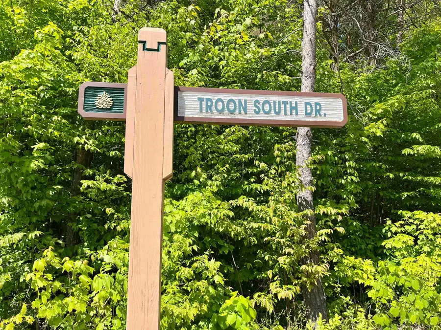 V/L 144 & 145 Troon South, Bellaire, MI 49615 - #2