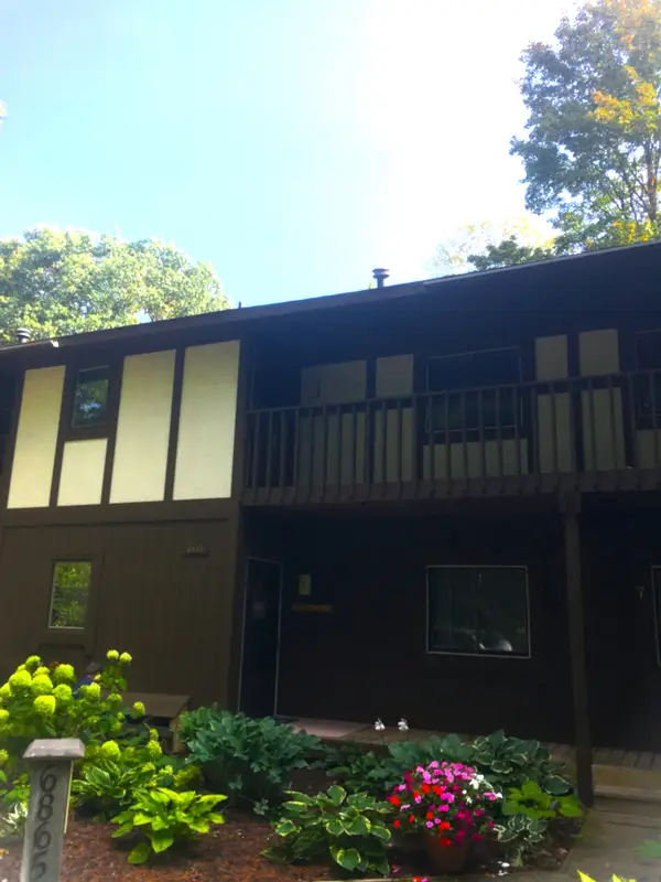6865 Pinebrook, Bellaire, MI 49615