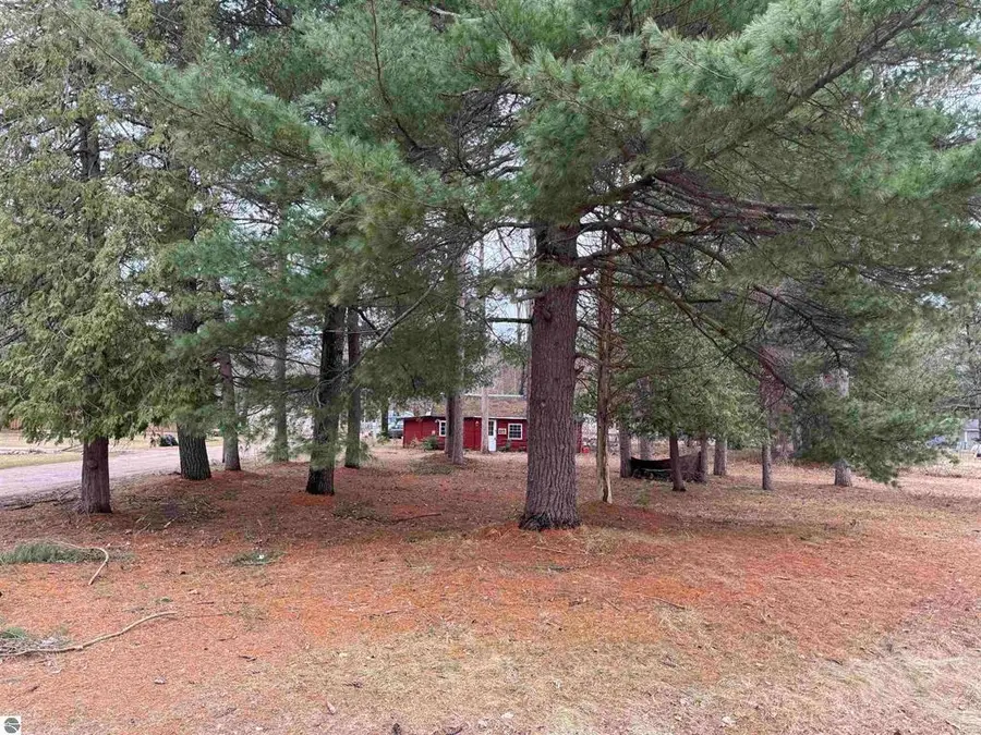 3105 N 3 1/4, Mesick, MI 49668 - #2