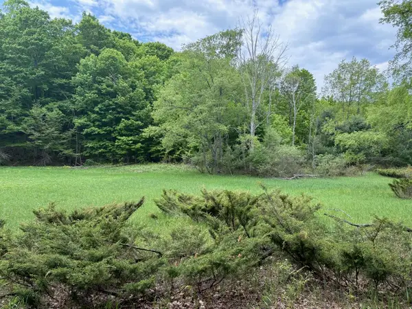 13631 S Beaver Pond, Empire, MI 49630