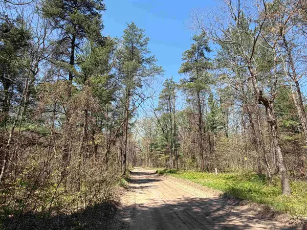 E Gladys, Idlewild, MI 49642