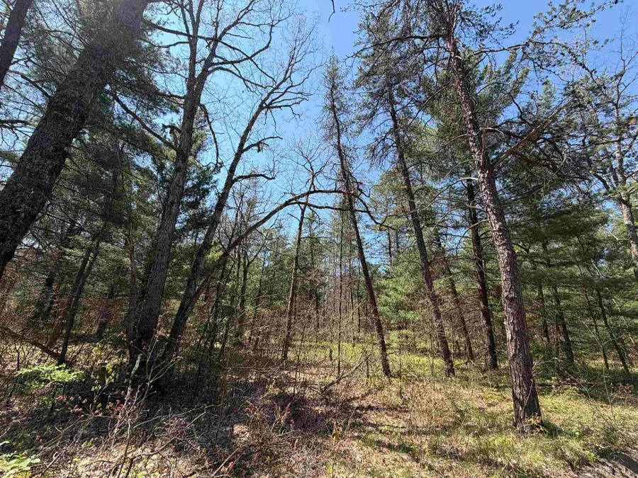 E Gladys LN, Idlewild, MI 49642 - #3