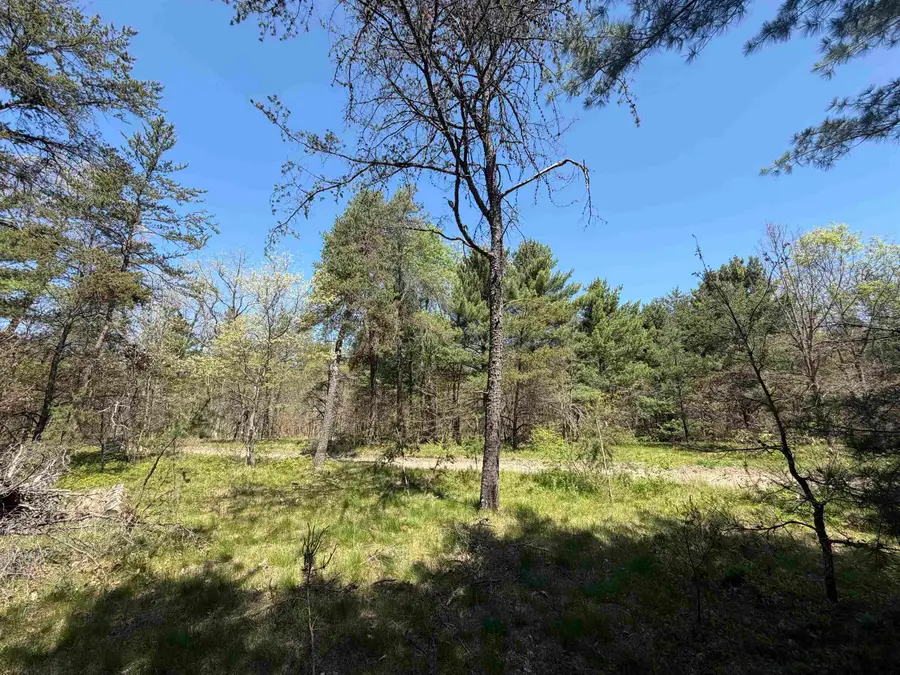 US-10, Idlewild, MI 49642 - #3
