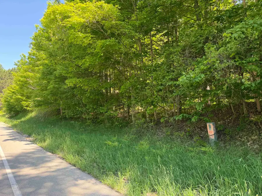 1 Shanty Creek, Bellaire, MI 49615 - #3