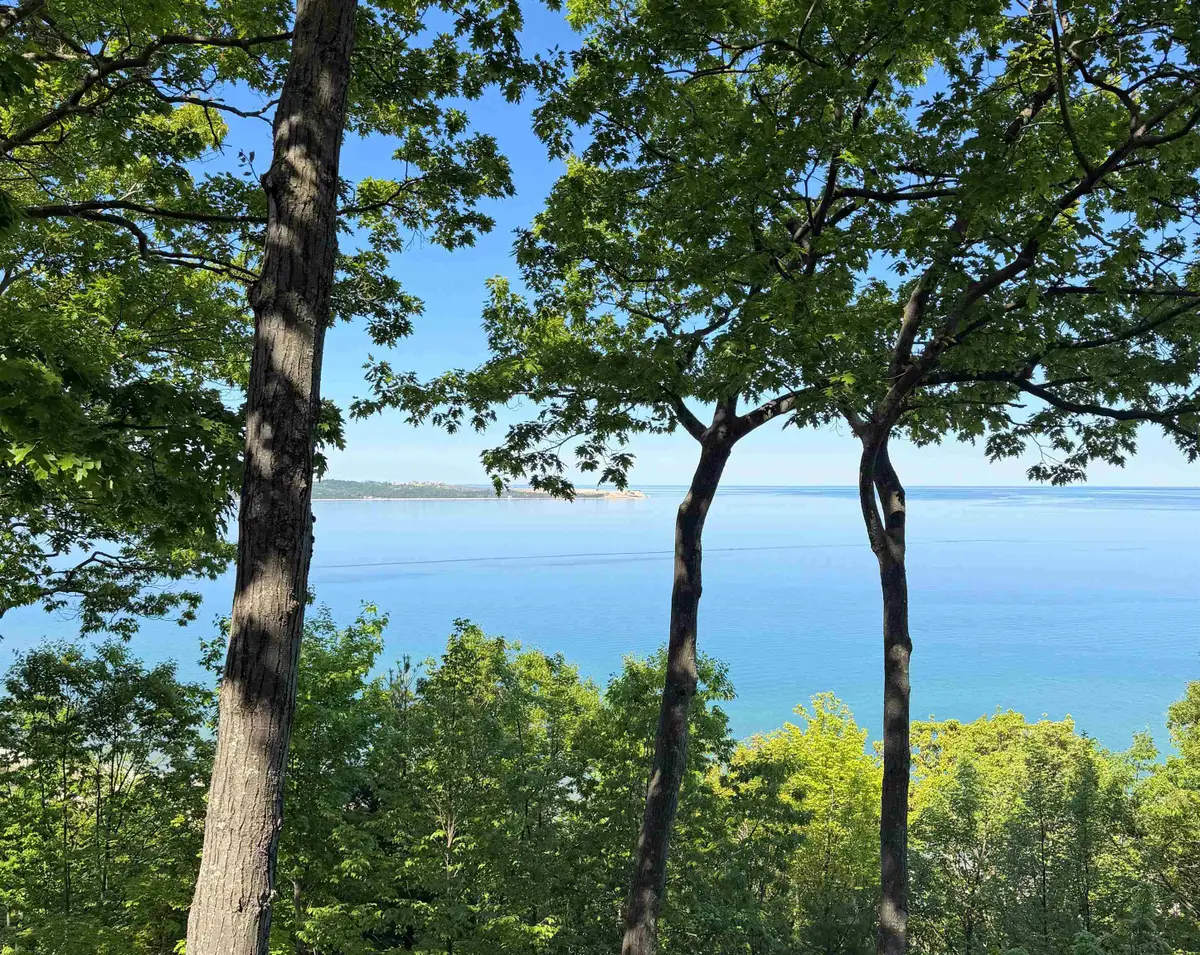9 Ridge Top, Glen Arbor, MI 49636 - #1