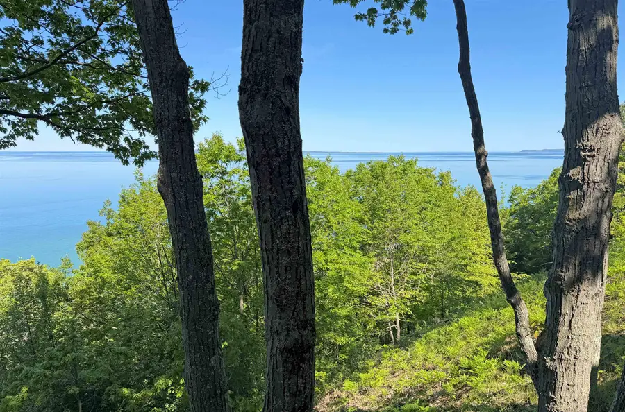 9 Ridge Top, Glen Arbor, MI 49636 - #3